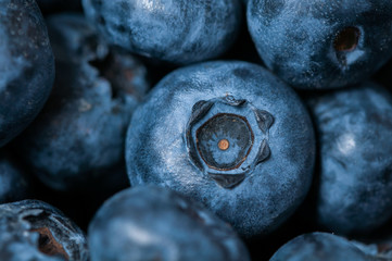Blueberries. Macro.