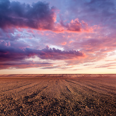Cultivated land and cloud formations at sunset