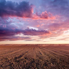 Fotobehang Gecultiveerd land en wolkenformaties bij zonsondergang © rasica