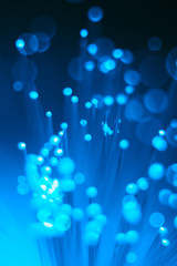 bunch of the blue optical fibres