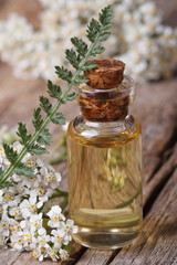 yarrow oil in a bottle with flowers vertical macro © FomaA