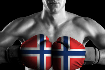 Black and white fighter with Norway color gloves