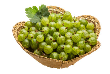 Gooseberry