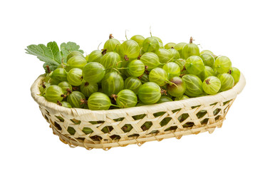 Gooseberry
