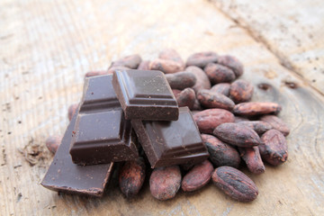 fèves de cacao