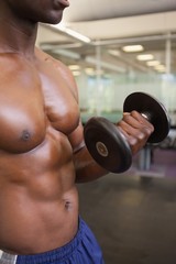 Fototapeta na wymiar Muscular man exercising with dumbbell in gym
