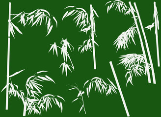 large set of bamboo branches on green