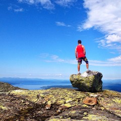 Fototapete bei efototapeten.de bestellen   