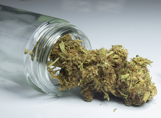 marijuana 23