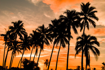 Coucher de soleil - 0009