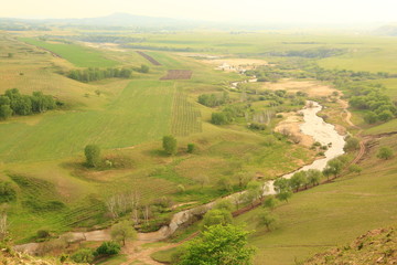 Obraz premium marsh