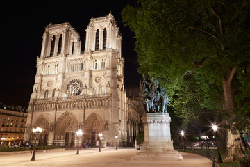 Fototapeta na wymiar Notre Dame, Paris cathedral in France at night