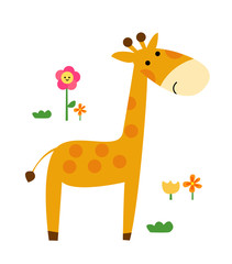 Fototapeta premium Giraffe