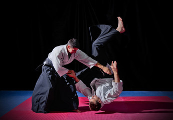 Fight between two aikido fighters - obrazy, fototapety, plakaty