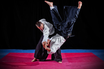 Fight between two aikido fighters - obrazy, fototapety, plakaty