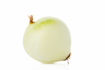 玉ねぎ onion 白背景