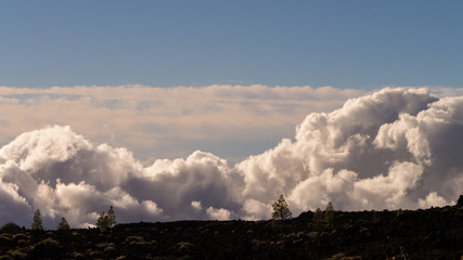 Landschaft im Teide Nationalpark auf Teneriffa