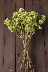 Bunch of dry oregano on wooden table