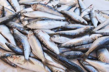 Freshness raw sardines