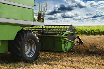 Fototapeta premium Combine harvester in action on wheat field