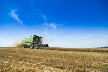 Obraz premium Combine harvester in action on wheat field