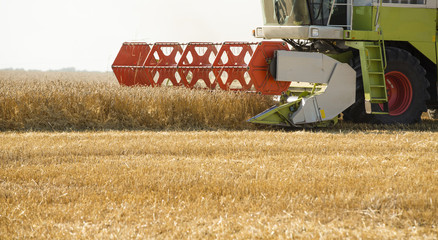 Combine harvester in action on wheat field