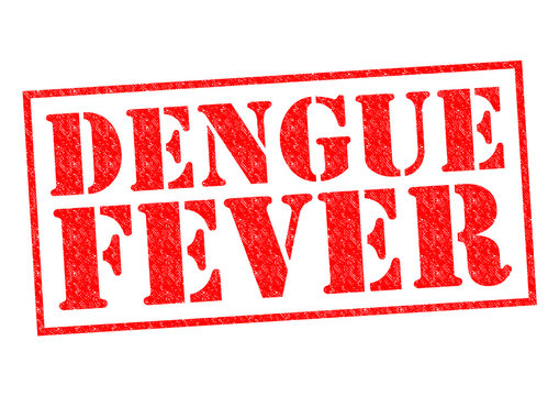 DENGUE FEVER