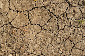 Closed up cracked clay ground in dry season