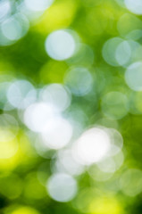 Fototapeta premium Natural blurred background.