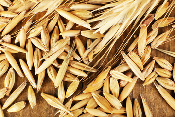 Rye grains and ears on table, close-up