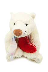 Teddy Bear with Love Heart