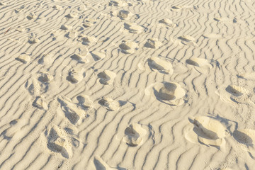 human  tracks on the sand