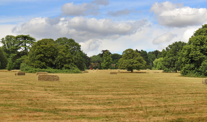 English Summer rural Landscape