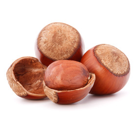 hazelnut or filbert nut isolated on white background cutout