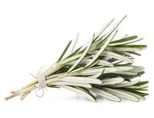Fototapeta premium rosemary herb spice leaves isolated on white background cutout