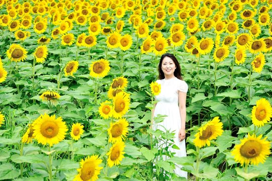 76 Best ポートレートモデル Images Stock Photos Vectors Adobe Stock 76 Best ポートレートモデル Images Stock Photos Vectors Adobe Stock