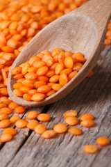 dry red lentils in a wooden spoon macro vertical