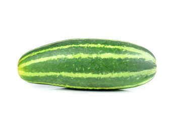 A fresh and tasty green vine ripened garden grown cucumber isola