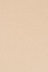 Fototapeta premium Beige leather