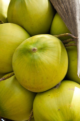 Coconut Fruit Close Up
