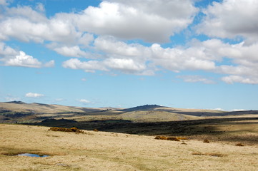 Dartmoor Panorama