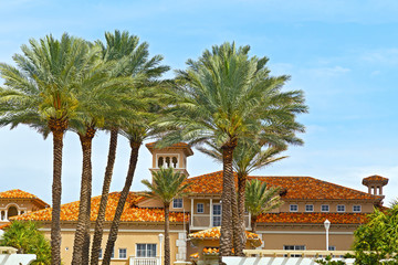 Fototapeta premium Building and palms of Miami Beach, Florida.