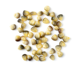 corn isolated on white background