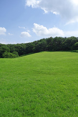 森林公園の風景