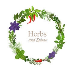 wreath of herbs and spices on a white background © Aloksa