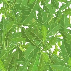 seamless texture of leaf arugula