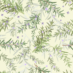 seamless texture of rosemary