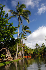 Obraz premium Polynesia culture..