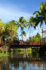 Polynesia culture..
