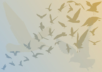 blue and brown gull silhouette background